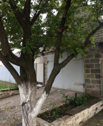 Продается дом на Ясногорке. фото 2 Продается дом на Ясногорке. фото 2