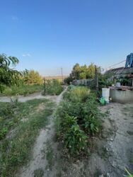 ������ ������� ��� ���� 17