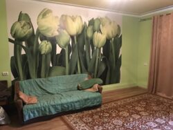 Продам шикарный Дом фото 11 Продам шикарный Дом фото 11