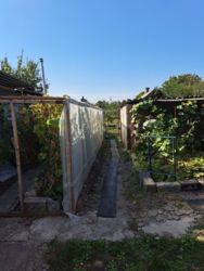 ��� � �������� �������� �-� ���������� ���� 3