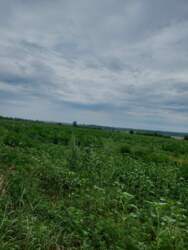 Продам Дом + 11га ОСГ. фото 20 Продам Дом + 11га ОСГ. фото 20