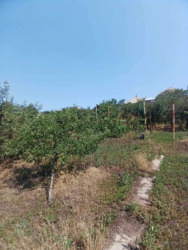 ��������� ������� ������ ���������� (����������), ���������, ����'�������, ��������, �������� ���� 13