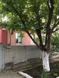 Продается дом на Ясногорке. фото 12 Продается дом на Ясногорке. фото 12