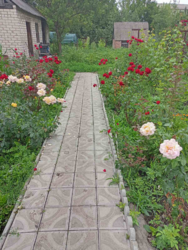 Продам дом в отличном состоянии с ремонтом и теплыми полами Центр 23000 фото 3 Продам дом в отличном состоянии с ремонтом и теплыми полами Центр 23000 фото 3