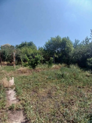 ��������� ������� ������ ���������� (����������), ���������, ����'�������, ��������, �������� ���� 18