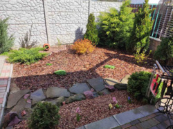 ������ �������� ��� (����������). ���� 22