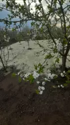 Продам дом Славянск фото 19 Продам дом Славянск фото 19