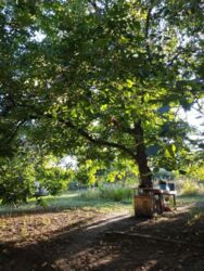 ������ ��� �������� (����� ����������) ���� 16