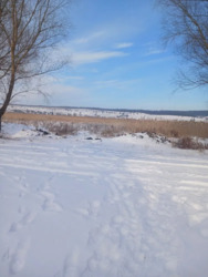 Продається будинок на Шабельківці фото 5 Продається будинок на Шабельківці фото 5