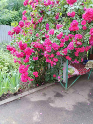 Продается частный дом. фото 1 Продается частный дом. фото 1