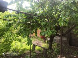 Продажа половины дома в центре города. фото 13 Продажа половины дома в центре города. фото 13