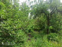 Продажа половины дома в центре города. фото 12 Продажа половины дома в центре города. фото 12