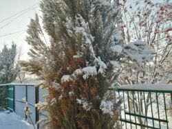 Продам дом Славянск фото 5 Продам дом Славянск фото 5