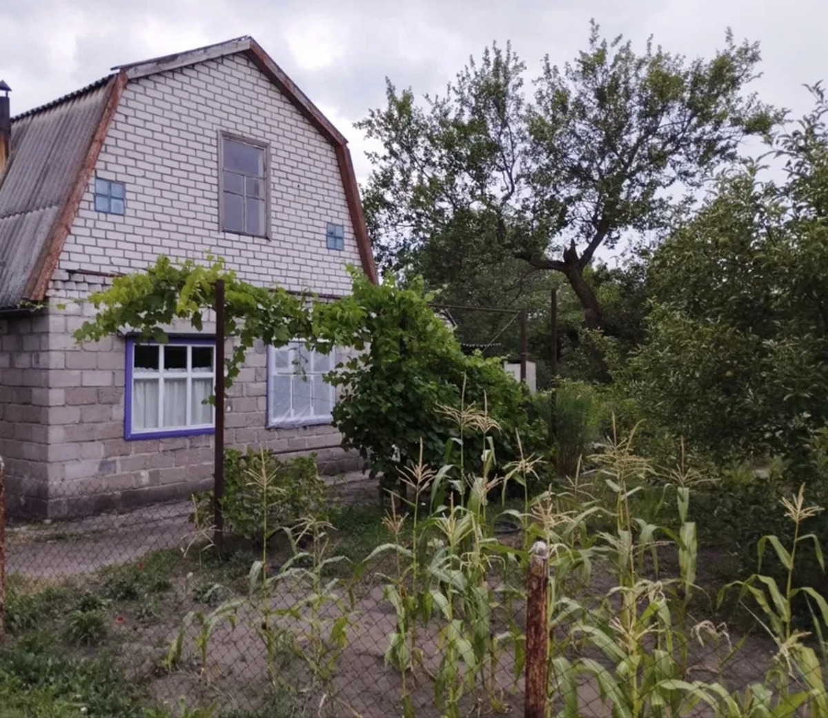 ������ ���� / ����� ���� 1