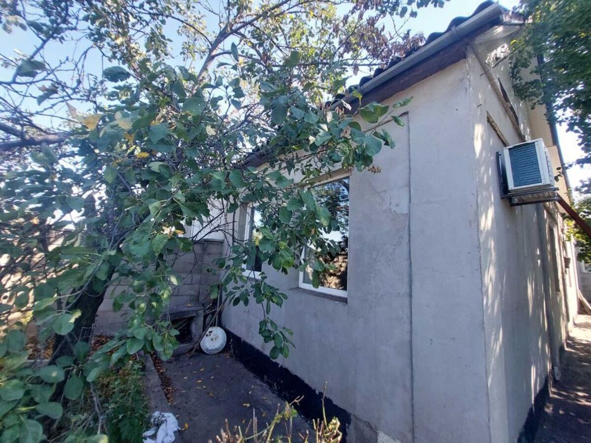 ������ ��� / ������ ���� 1