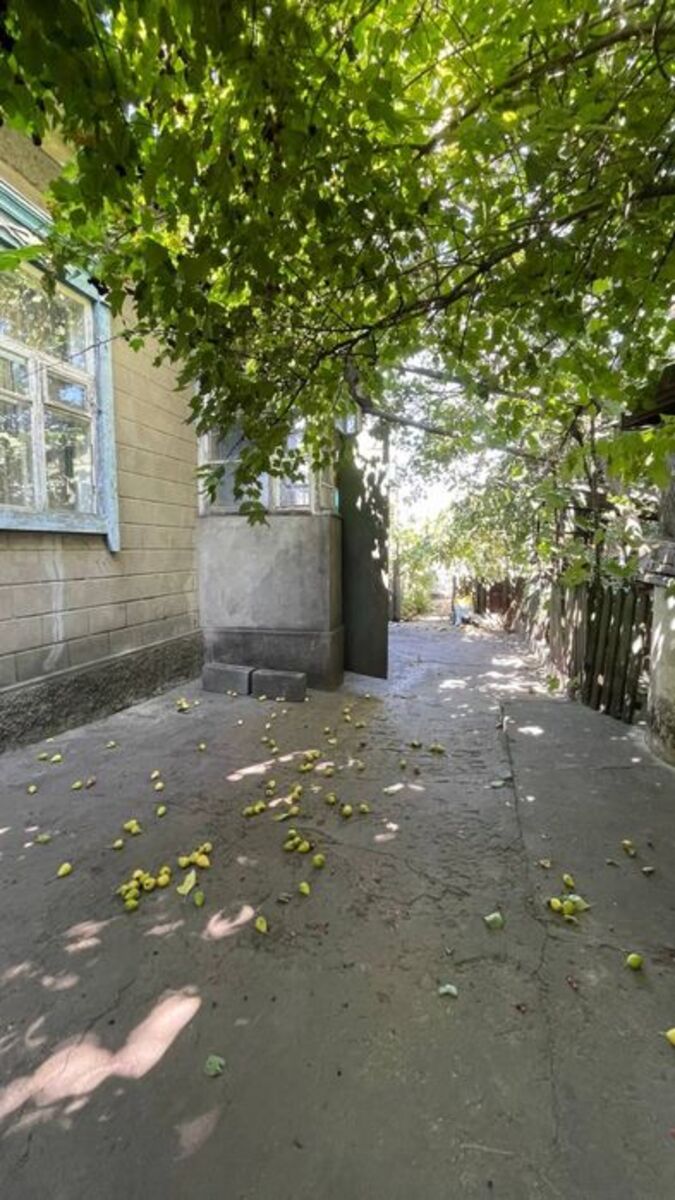 ������ ��� / ��������� �� ���� 1