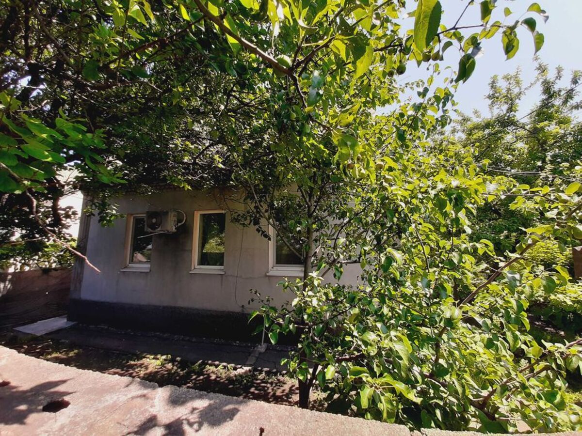 ������ ��� / ������ ( �-� ������) ���� 1