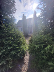 ������ ��� / ������ ���� �� ���� 20