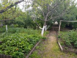 ������ ��� /�������� ���� 23