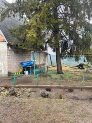 Продам Дачу / Кулиши фото 10 Продам Дачу / Кулиши фото 10