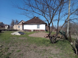 ������ ��� / ��������� ���� 7