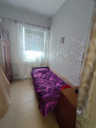 ������ ��� / ��� ���� 13