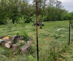 Продам Дом / Аулы фото 6 Продам Дом / Аулы фото 6