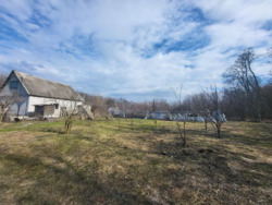 ������ ��� / ������ ���� �� ���� 21