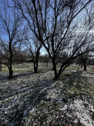 ������ ��� / ����������� ���� 16