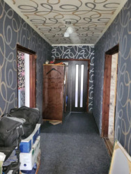 ������ ��� / ������ ���� �� ���� 11