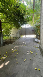 ������ ��� / ��������� �� ���� 2