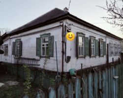 ������ ����� ���� / ������� ���� 1