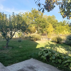 ������ ��� / ��������������� ���� 24