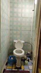 ������ ��� / ��� ���� 10