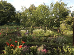 ������ ���� / ����� ���� 10