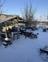 ������ ���  �� ���� 8