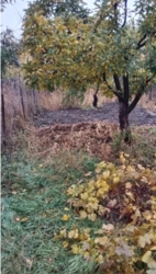 Продам Дом / Черемушки фото 13 Продам Дом / Черемушки фото 13