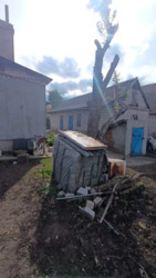 ������ ��� � �����. �� ���� 15