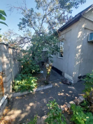 ������ ����� ���� / �-� ������� ������ ���� 3