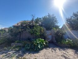 ������ ����� ���� / �-� ������� ������ ���� 1