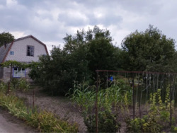 ������ ���� / ����� ���� 14