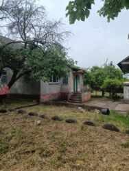 ������ ��� / ��������� ���� 1