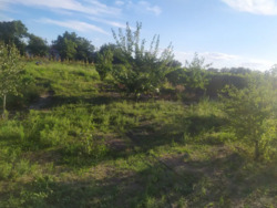 Продам Дом в Елизаветовке фото 7 Продам Дом в Елизаветовке фото 7