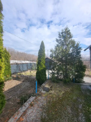 ������ ��� / ������ ���� �� ���� 17