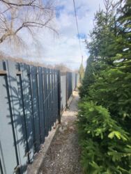 ������ ��� / ������ ���� �� ���� 18