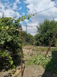 Продам Дом в Романково фото 13 Продам Дом в Романково фото 13
