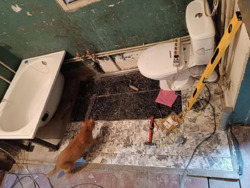 ������ 1/2 ����� ���� / ����� ���� 9