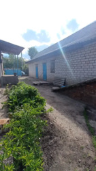 ������ ��� � �����. �� ���� 13