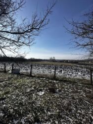 ������ ��� / ����������� ���� 15