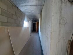 ������ ����� ���� / �-� ������� ������ ���� 8